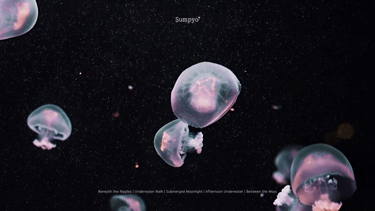 어젯밤에 바다가 내게 쏟아졌어 | 𝐀𝐒𝐌𝐑 𝐏𝐥𝐚𝐲𝐥𝐢𝐬𝐭