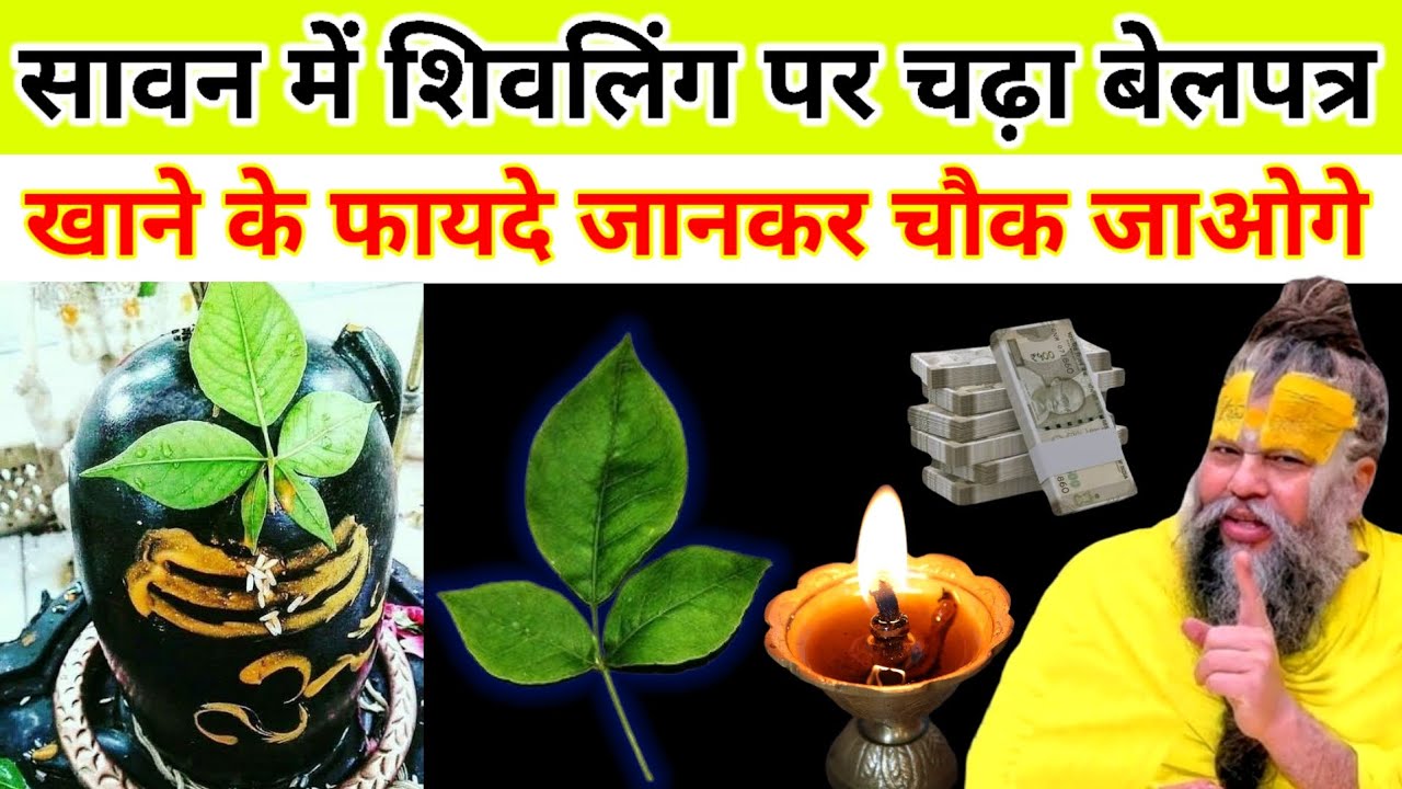 सावन में शिवलिंग पर चढ़ा बेलपत्र खाने के फायदे जानकार चौक जाओगे😱 