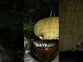 Breaking Trees For Food You Didn't Know About 🤯 #shorts