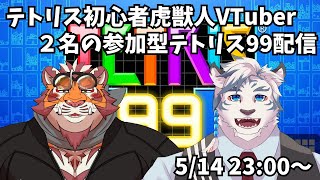 【TETRIS99】テトリス初心者虎獣人Vtuber2名によるテトリス参加型配信！【ケモノVtuber】