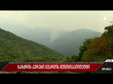 ხანძრის კერები ყვარლის მუნიციპალიტეტში