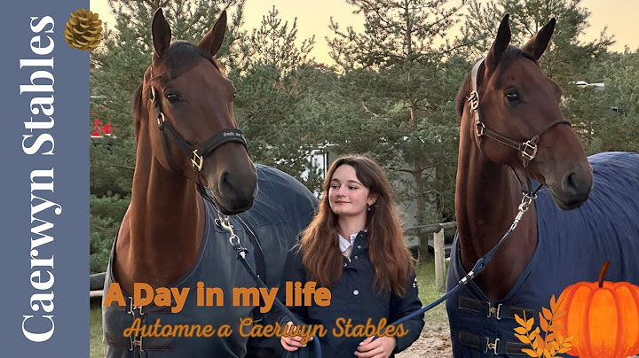 🍁  Un Mardi avec moi a Caerwyn Stables - organiser ma malle - Départ en concours !