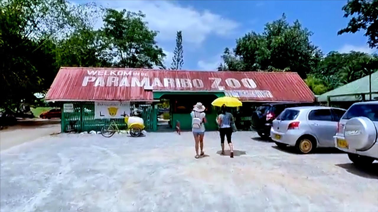 Exploring Paramaribo Zoo Suriname