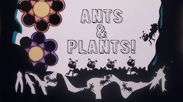Learn How “ANTS AND PLANTS” Work Together in this Fun and Educational Shadow Puppet Music Video!