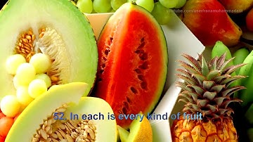 Surah Rahman By Mishary Rashid Al Afasy With English Translation سورة الرحمن مشاري العفاسي