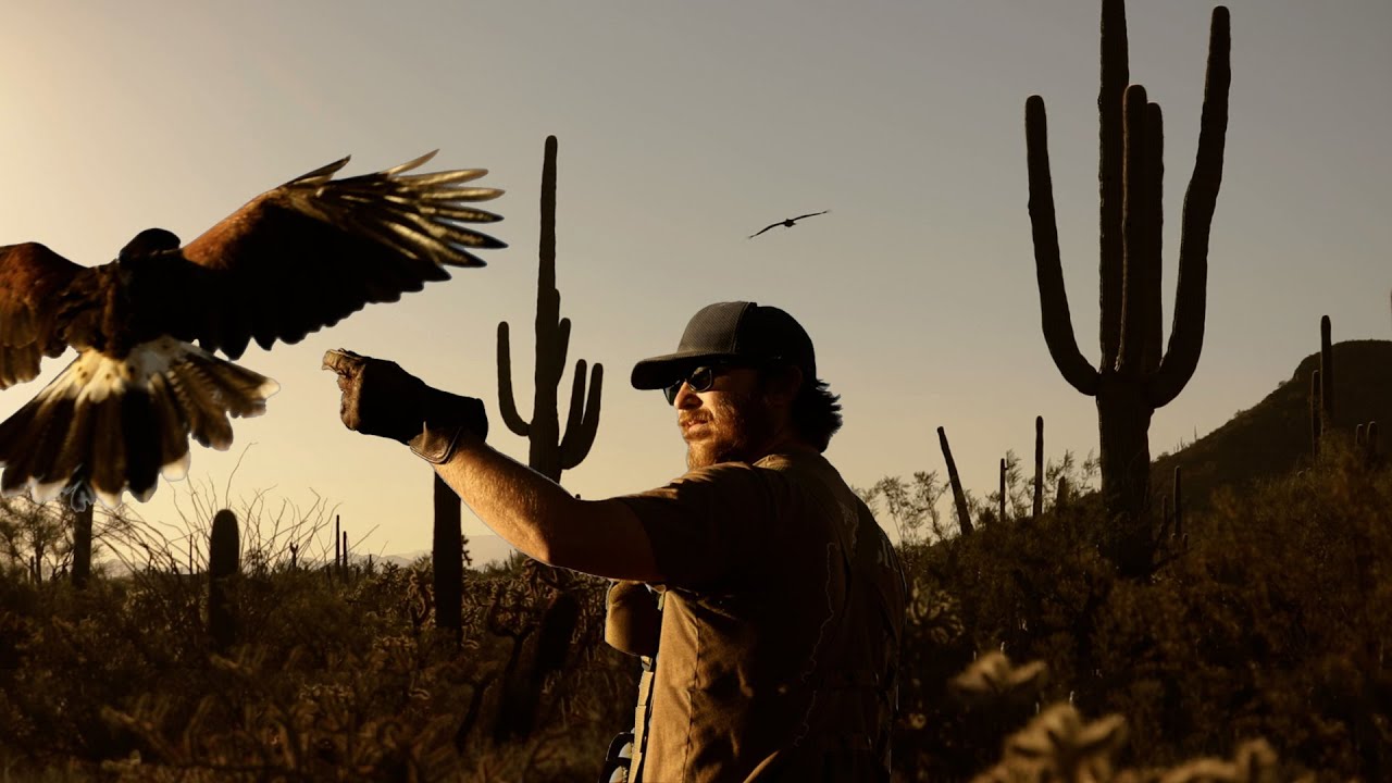 Sonoran Specialists, Hunting with Hawks in the Arizona Desert