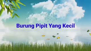 Burung Pipit yang kecil - Lagu Sekolah Minggu