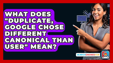What Does "Duplicate, Google Chose Different Canonical Than User" Mean? - SearchEnginesHub.com