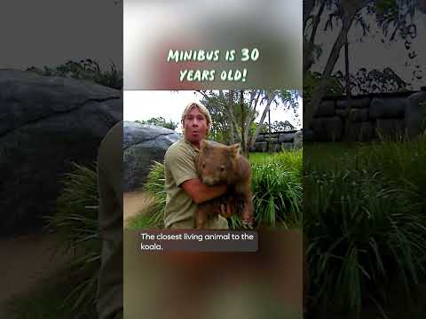 Minibus's adventures with Steve back in the day! | Steve Irwin Throwback