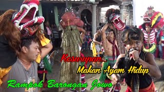 Rampok Barong Jowo Mulya Budaya || Kepruk Barongan || Desa Nglutung Sendang Tulungagung