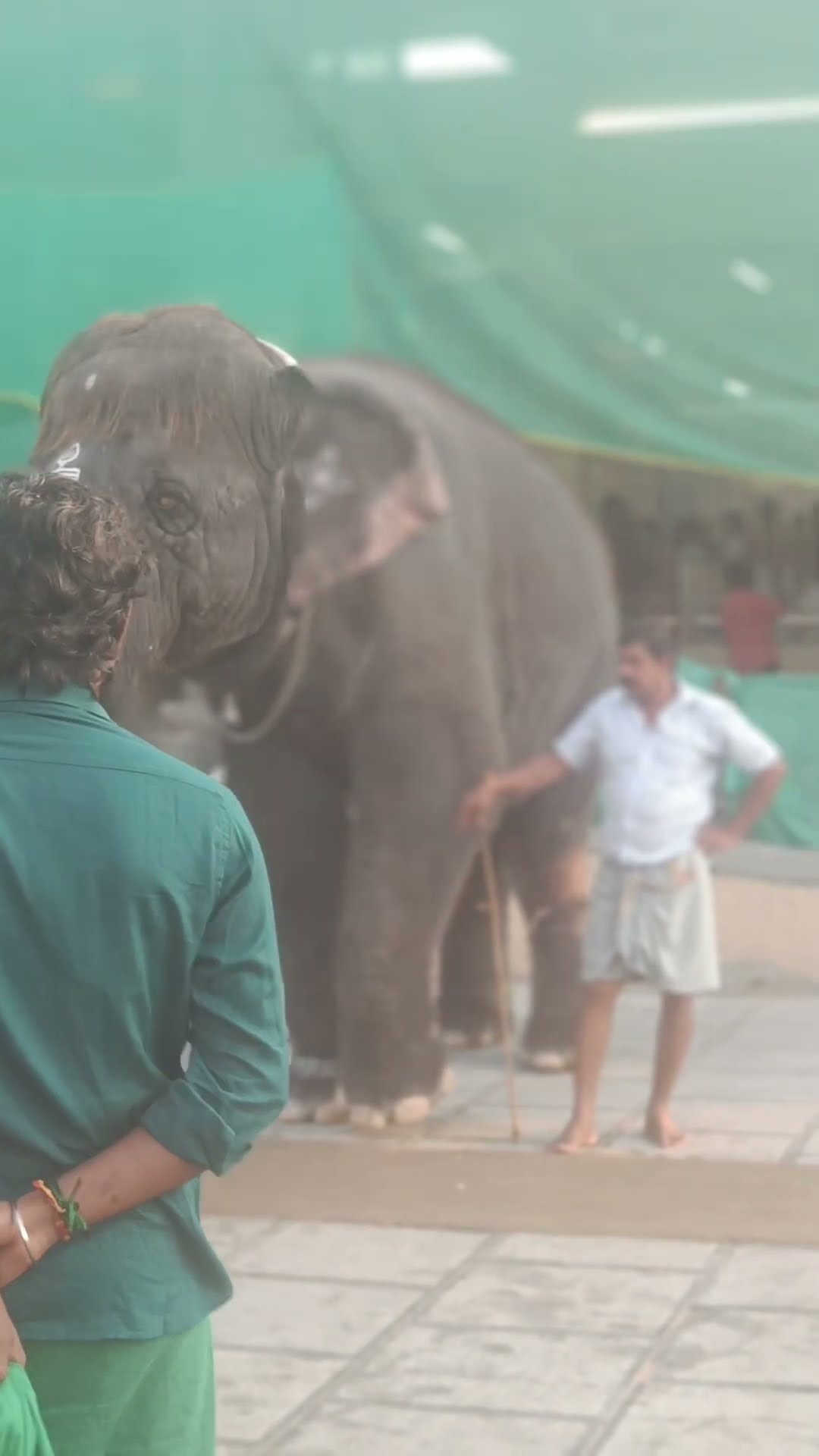 👫हिंदू शादी रस्मे - ShareChat