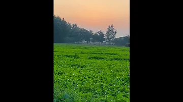 Cover Song Music Instrumental Love Nature Kpktourism Coversong Villagelife Kpktour 