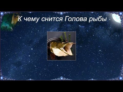 К чему снится Голова рыбы (Сонник)