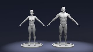 Stylized Strong Male and Female Body Base Mesh 3D Model – Rigged with IK/FK Switch