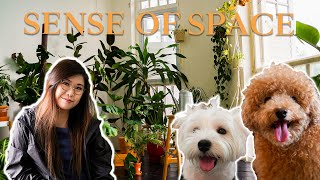 Create a stunning photography studio using only plants | Sense of Space EP 2 - Another Studio