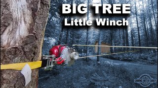 Bringing Down a Big Old Spruce Tree Right Beside My Shop
When it comes to tree cutting, theres no room for error. Today Ill be helping to guide a big old spruce tree down to the ground with the help of a portable winch. Although I like to think Ive got the skills to pay the bills, the bills can get mighty high if my skills dont quite get there.
Portable Winch shown in this video from:
Portable Winch Co.
1170, Thomas-Tremblay
Sherbrooke, Quebec
Canada, J1G 5G5
TOLL FREE (CANADA & USA): 1 888 388-7855
LOCAL OR OVERSEAS : +1 819 563-2193
https://www.portablewinch.ca/collections/all/products/pcw4000-a-gas-powered-winch-with-accessories
@PortableWinch @PortableWinchDeutsch #capstan #winch #winching #trailmaintenance #honda #recovery #forestryequipment #loggingequipment #treeremoval #treework Bringing Down a Big Old Spruce Tree Right Beside My Shop