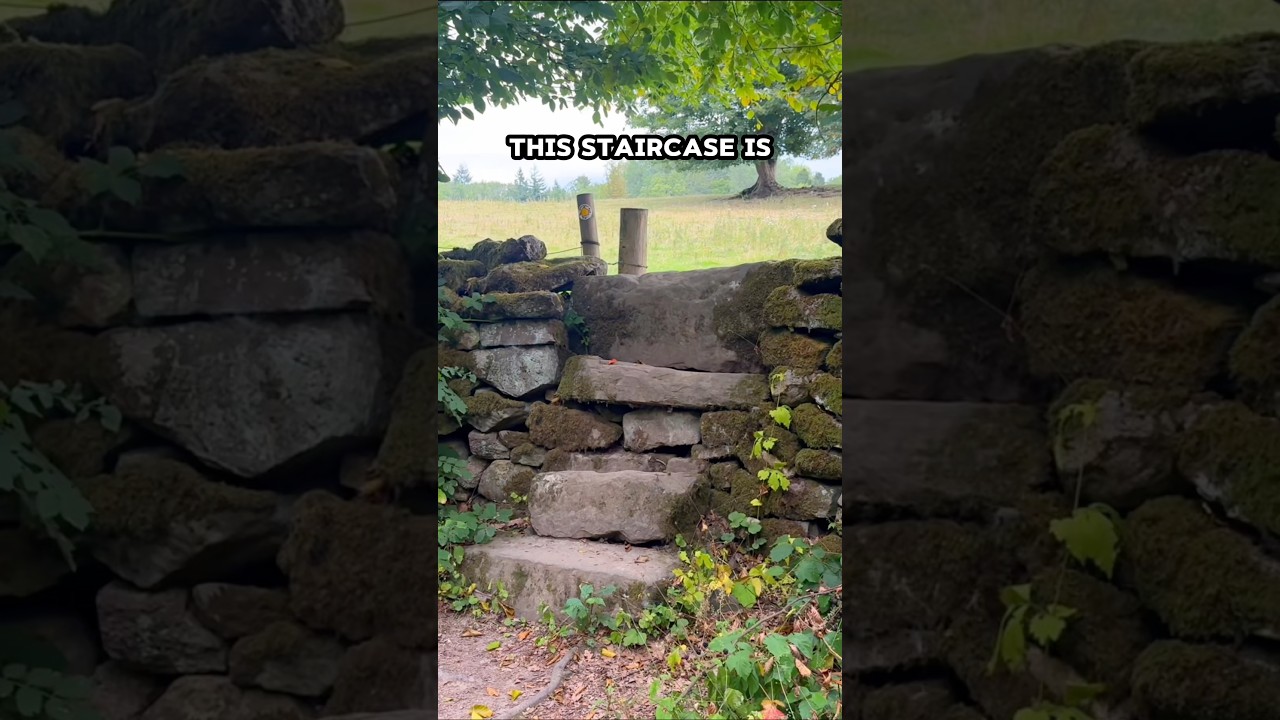 Вот это перелаз! 