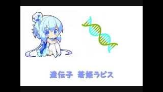 【蒼姫ラピス】遺伝子【オリジナル曲】