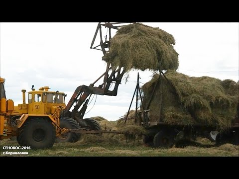 Сенокос-2016 возле села Корниловка (Люблинский сельский округ, Карасуский район)