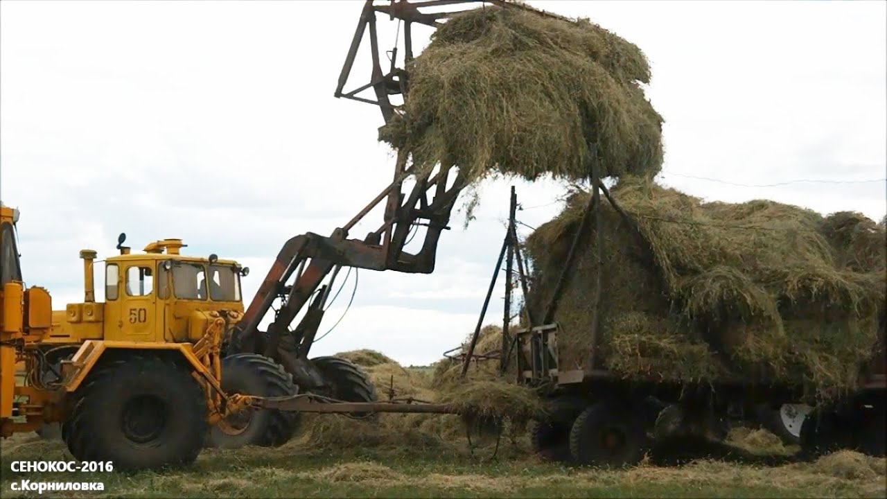Сенокос-2016 возле села Корниловка (Люблинский сельский округ, Карасуский район)