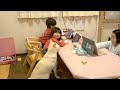 柴犬のいる日常