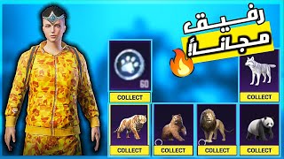طريقة الحصول على الرفيق مجاناً ببجي موبايل ✅ طريقة الحصول على الرفيق بعملات الحظ PUBG mobile screenshot 5