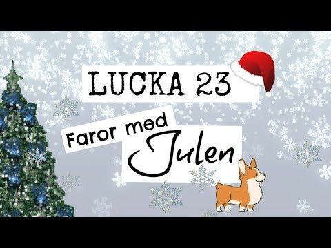 Video: Regniga Faror För Hundar