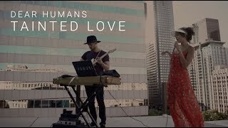 Dear Humans - Tainted Love (live cover) Profile