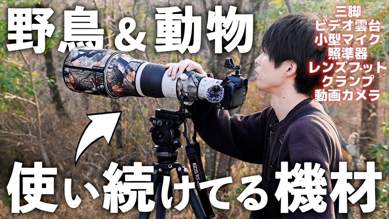 5年かけてたどり着いた、野鳥・動物撮影で使い続けてる機材はこれだ！