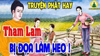 Nhân Quả Ghê Rợn,Luân Hồi Đầu Thai Thành Heo Trả Nợ Cho Chị Dâu Vì Tội Tham Lam _ Audio Truyện Phật