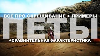 Black Desert - Все про скрещивание питомцев, примеры, сравнительная характеристика Black Desert - Все про скрещивание питомцев, примеры, сравнительная характеристика