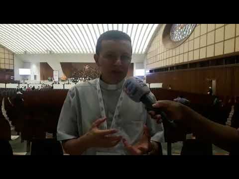 O Brasil no Encontro Mundial das Famílias - O Brasil no Encontro Mundial das Famílias