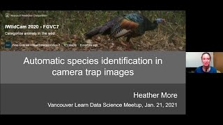 Kaggle meetup:  iWildCam 2020 - FGVC7 Challenge