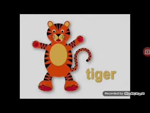 Baby Einstein Tiger Sound Effect - YouTube