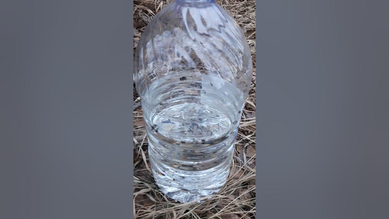 Лидский квас клюква. Лидский квас с березовым соком. Березовый сок с лидским квасом. Лидский квас летний. Лидский квас из березового сока.