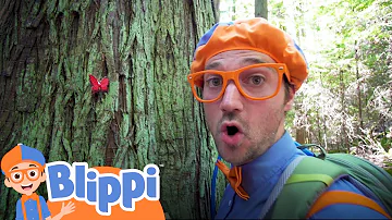 Learning About Nature On A Hike With Blippi | Educational Videos For Kids