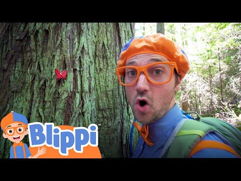 Learning About Nature On A Hike With Blippi | Educational Videos For Kids