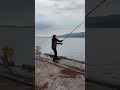A Nice Shore Caught Dogfish, Small-spotted Cat shark, Rockfish, Highland Fishing