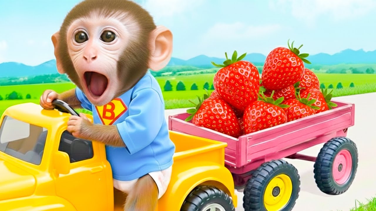 Apakah Monyet Kecil Bim Bisa Membuat Hari Kerja Anda Lebih Efektif?