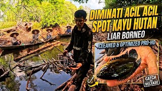 WOW ‼️ 1-Day adventure exploring fishing spots during Borneo's long dry season and reeling in a m...