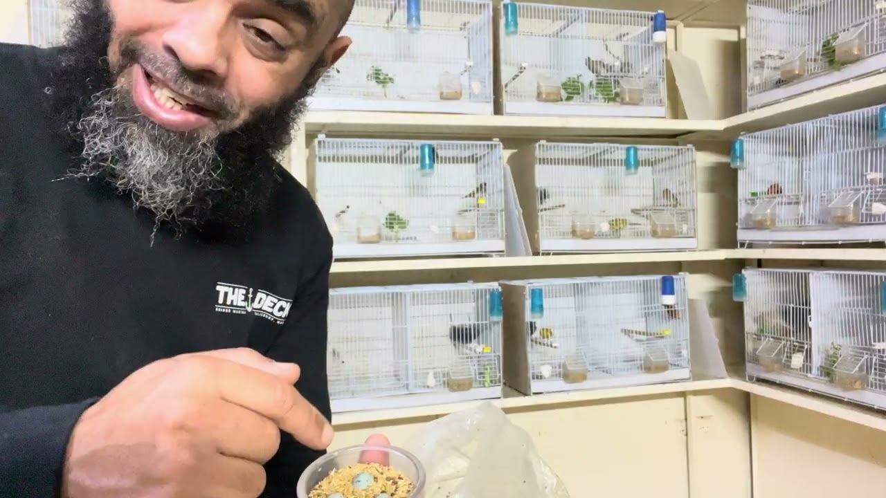 تحياتي لكم جميعا اخوتي 