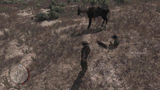 The wild west was crazy | RDR
