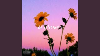 Sunflower - Yung Percs