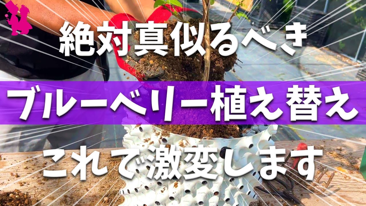 It will improve if you do it] A professional farmer demonstrates