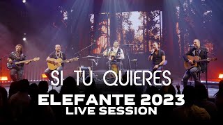 Si tu Quieres ELEFANTE 2023 (Live Session)