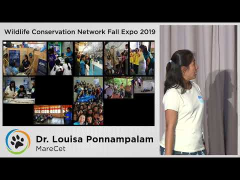 okapia johnstoni WCN Fall Expo 2019: Dugongs and Dolphins