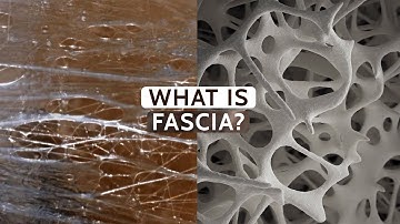 Fascia Explained: The Secret Network Inside You!