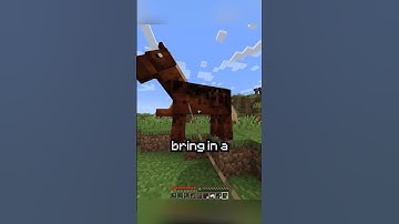 Minecraft, But Any Mob I Say I Teleport To...