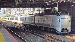 【特急成田エクスプレス19号】2019M E259系Ne006編成 Ne001編成 東船橋駅 通過シーン