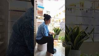 #shorts #dailyvlog #dailylife #dailylifestylevlog #minivlog #plantlover #viralshorts #homemaker
